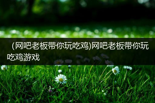 （网吧老板带你玩吃鸡)网吧老板带你玩吃鸡游戏
