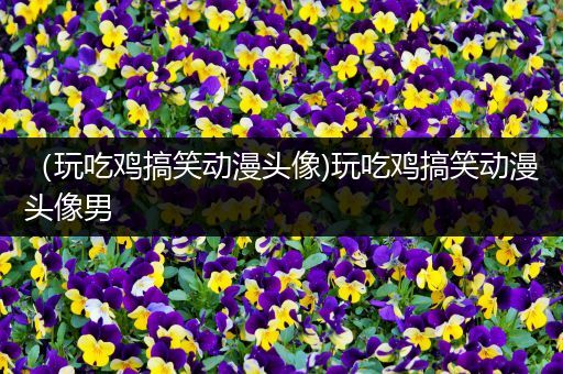 （玩吃鸡搞笑动漫头像)玩吃鸡搞笑动漫头像男