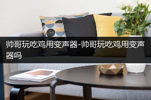 帅哥玩吃鸡用变声器-帅哥玩吃鸡用变声器吗