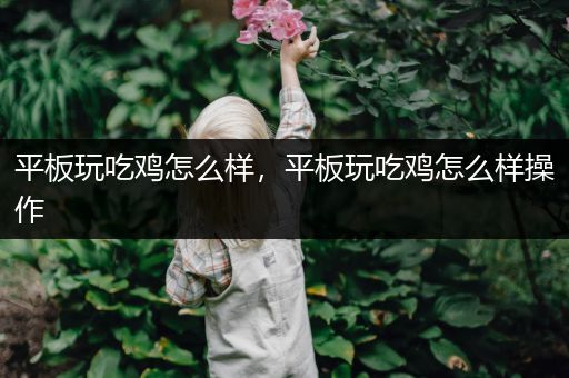 平板玩吃鸡怎么样，平板玩吃鸡怎么样操作