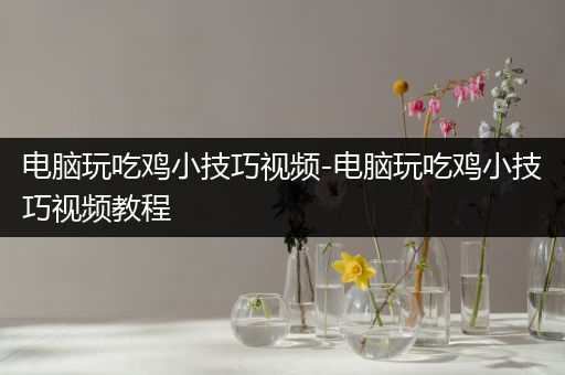 电脑玩吃鸡小技巧视频-电脑玩吃鸡小技巧视频教程