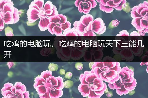 吃鸡的电脑玩，吃鸡的电脑玩天下三能几开