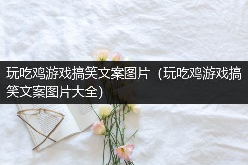 玩吃鸡游戏搞笑文案图片（玩吃鸡游戏搞笑文案图片大全）