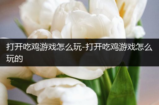 打开吃鸡游戏怎么玩-打开吃鸡游戏怎么玩的