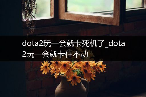 dota2玩一会就卡死机了_dota2玩一会就卡住不动