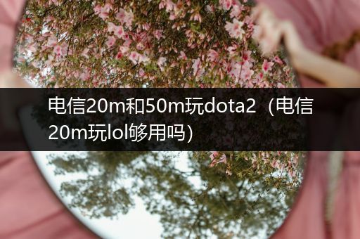 电信20m和50m玩dota2（电信20m玩lol够用吗）