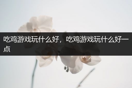 吃鸡游戏玩什么好，吃鸡游戏玩什么好一点