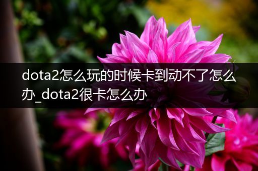 dota2怎么玩的时候卡到动不了怎么办_dota2很卡怎么办