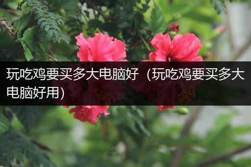 玩吃鸡要买多大电脑好（玩吃鸡要买多大电脑好用）