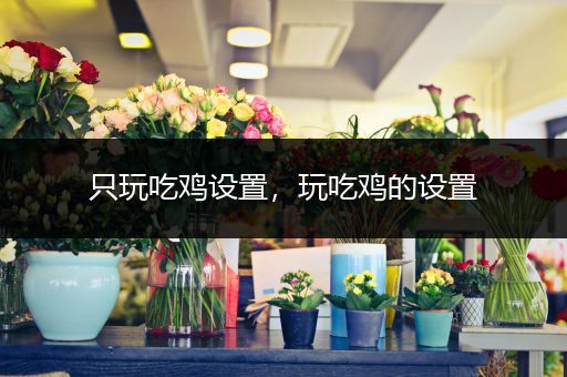 只玩吃鸡设置，玩吃鸡的设置