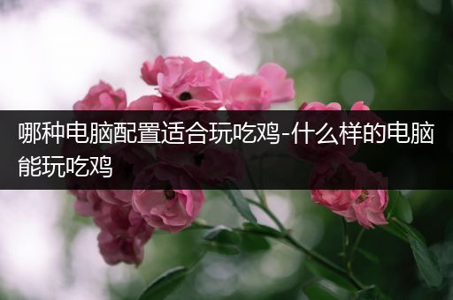 哪种电脑配置适合玩吃鸡-什么样的电脑能玩吃鸡