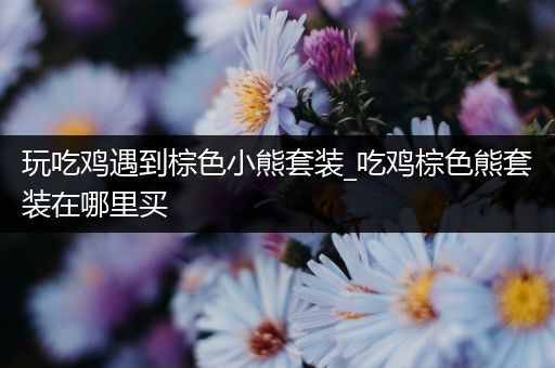 玩吃鸡遇到棕色小熊套装_吃鸡棕色熊套装在哪里买
