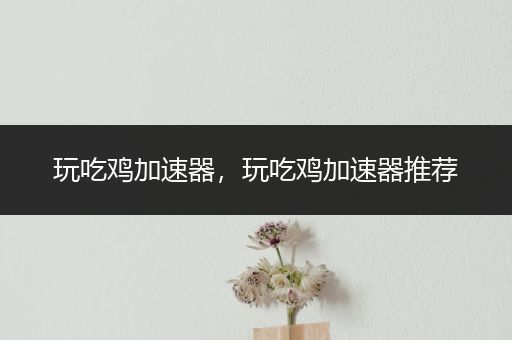 玩吃鸡加速器，玩吃鸡加速器推荐