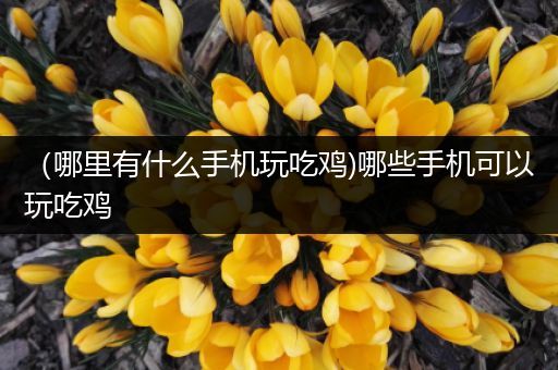 （哪里有什么手机玩吃鸡)哪些手机可以玩吃鸡