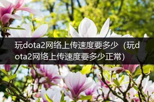 玩dota2网络上传速度要多少（玩dota2网络上传速度要多少正常）