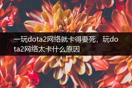 一玩dota2网络就卡得要死，玩dota2网络太卡什么原因