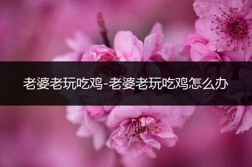 老婆老玩吃鸡-老婆老玩吃鸡怎么办