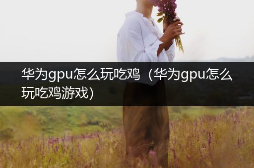 华为gpu怎么玩吃鸡（华为gpu怎么玩吃鸡游戏）