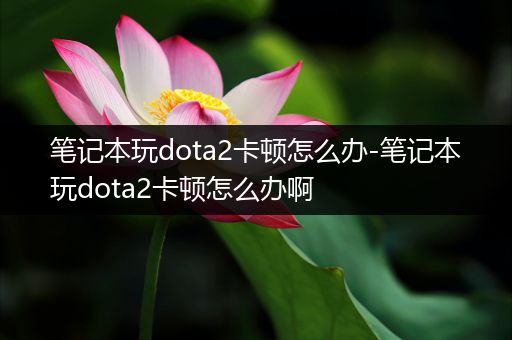 笔记本玩dota2卡顿怎么办-笔记本玩dota2卡顿怎么办啊