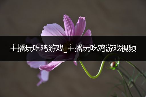 主播玩吃鸡游戏_主播玩吃鸡游戏视频