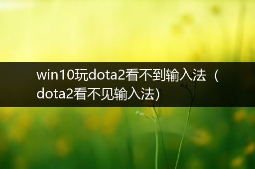win10玩dota2看不到输入法（dota2看不见输入法）