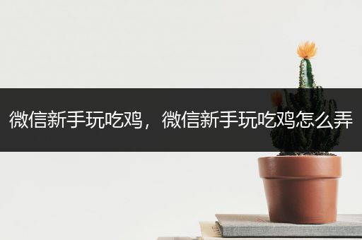 微信新手玩吃鸡，微信新手玩吃鸡怎么弄