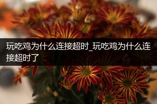 玩吃鸡为什么连接超时_玩吃鸡为什么连接超时了