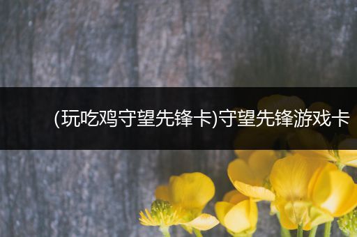（玩吃鸡守望先锋卡)守望先锋游戏卡