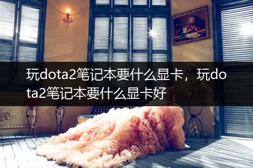 玩dota2笔记本要什么显卡，玩dota2笔记本要什么显卡好