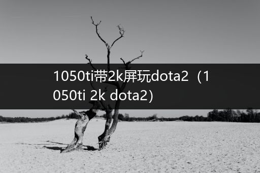 1050ti带2k屏玩dota2（1050ti 2k dota2）