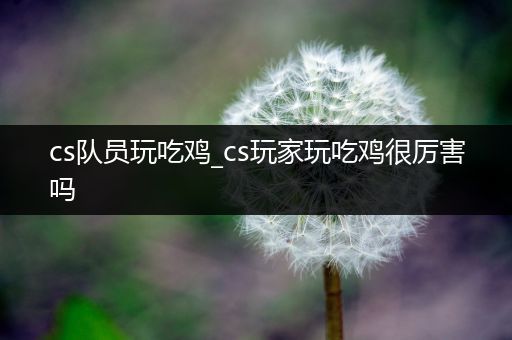cs队员玩吃鸡_cs玩家玩吃鸡很厉害吗