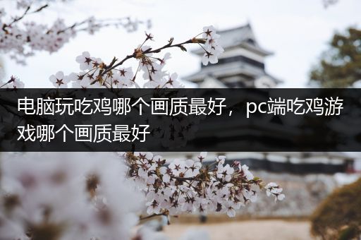 电脑玩吃鸡哪个画质最好，pc端吃鸡游戏哪个画质最好