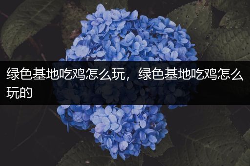 绿色基地吃鸡怎么玩，绿色基地吃鸡怎么玩的