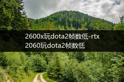 2600x玩dota2帧数低-rtx2060玩dota2帧数低