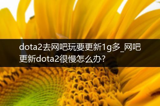 dota2去网吧玩要更新1g多_网吧更新dota2很慢怎么办?