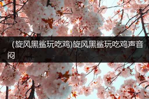 （旋风黑鲨玩吃鸡)旋风黑鲨玩吃鸡声音闷