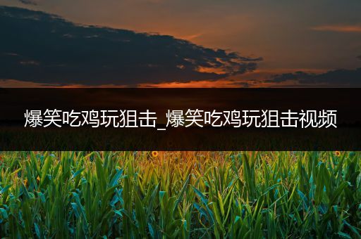 爆笑吃鸡玩狙击_爆笑吃鸡玩狙击视频