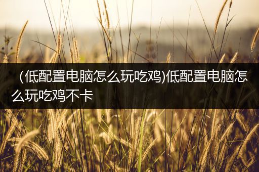 （低配置电脑怎么玩吃鸡)低配置电脑怎么玩吃鸡不卡