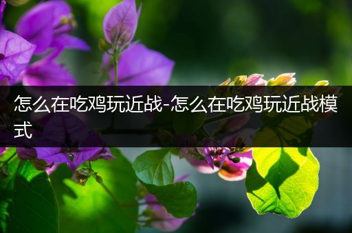 怎么在吃鸡玩近战-怎么在吃鸡玩近战模式