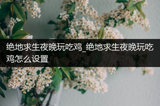 绝地求生夜晚玩吃鸡_绝地求生夜晚玩吃鸡怎么设置