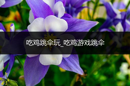 吃鸡跳伞玩_吃鸡游戏跳伞