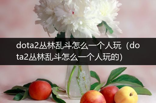 dota2丛林乱斗怎么一个人玩（dota2丛林乱斗怎么一个人玩的）