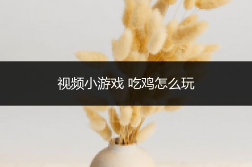 视频小游戏 吃鸡怎么玩