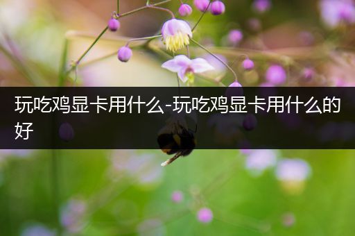玩吃鸡显卡用什么-玩吃鸡显卡用什么的好