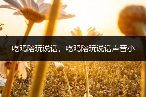 吃鸡陪玩说话，吃鸡陪玩说话声音小