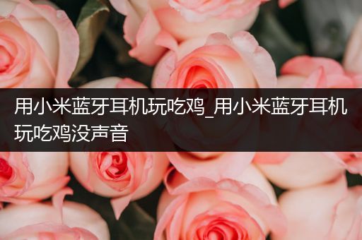 用小米蓝牙耳机玩吃鸡_用小米蓝牙耳机玩吃鸡没声音