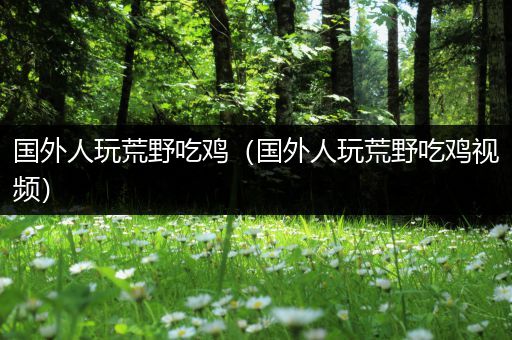 国外人玩荒野吃鸡（国外人玩荒野吃鸡视频）