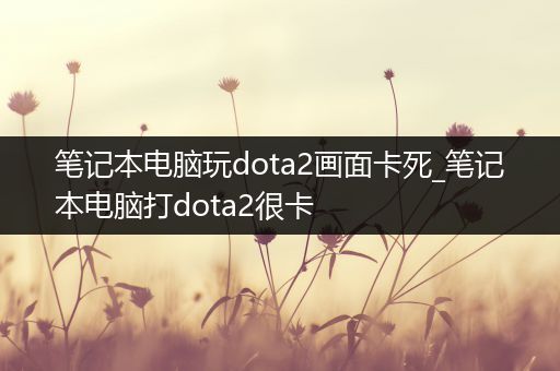 笔记本电脑玩dota2画面卡死_笔记本电脑打dota2很卡