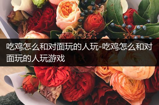 吃鸡怎么和对面玩的人玩-吃鸡怎么和对面玩的人玩游戏