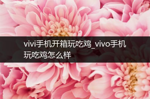 vivi手机开箱玩吃鸡_vivo手机玩吃鸡怎么样